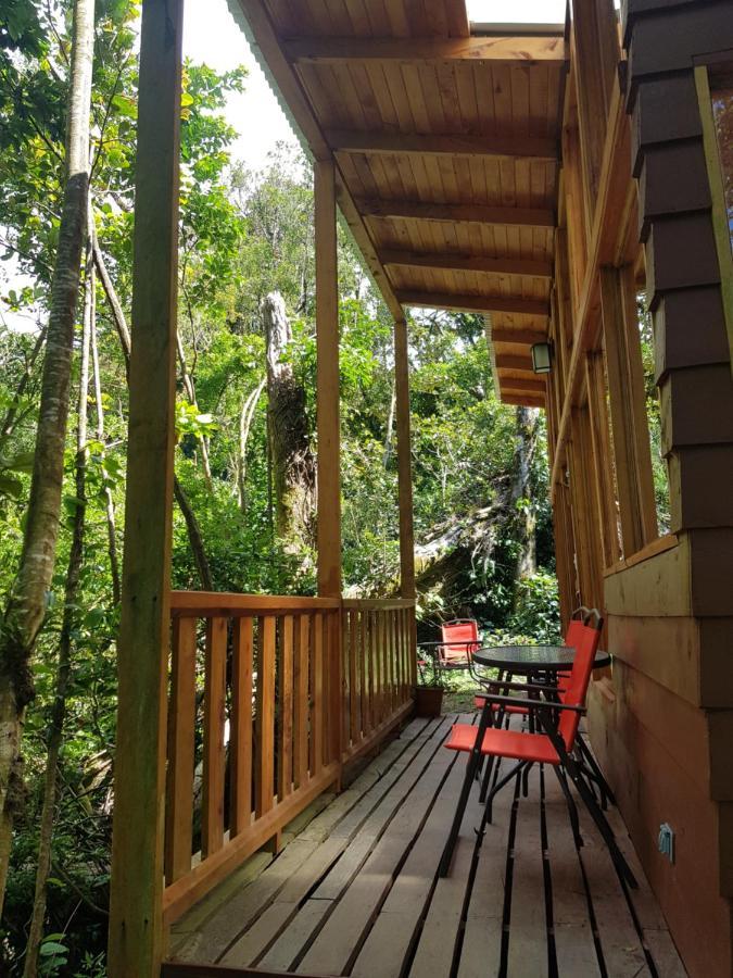 Finca Terra Viva Monteverde Exterior photo