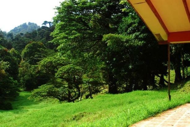 Finca Terra Viva Monteverde Exterior photo